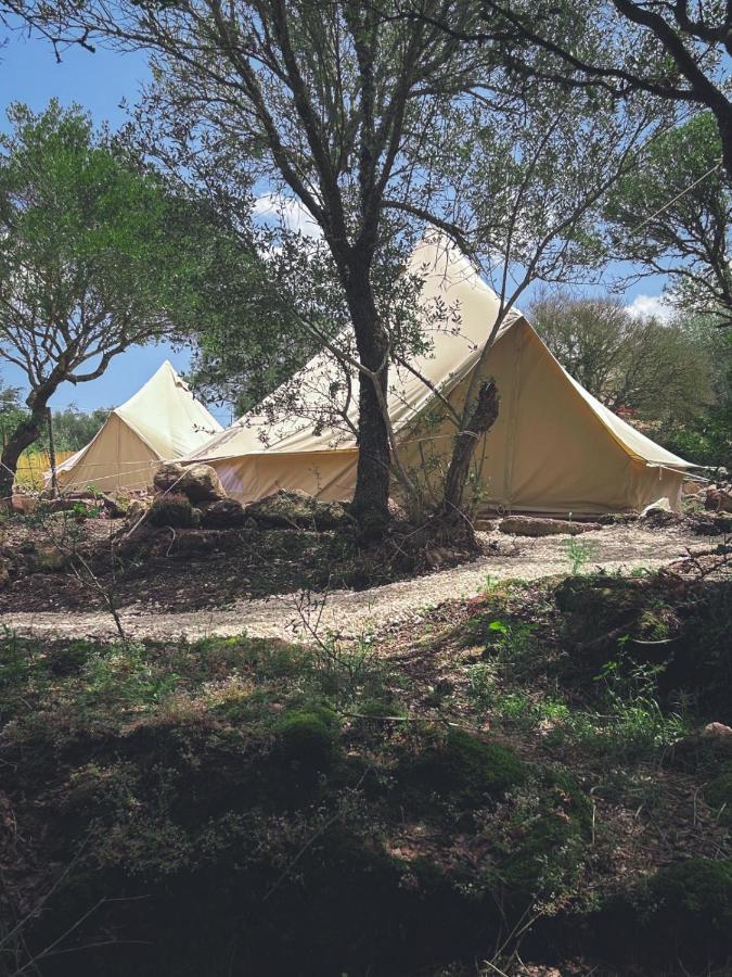 Hotel Pasare Glamping_Anglonaruralexperience Perfugas Exterior foto