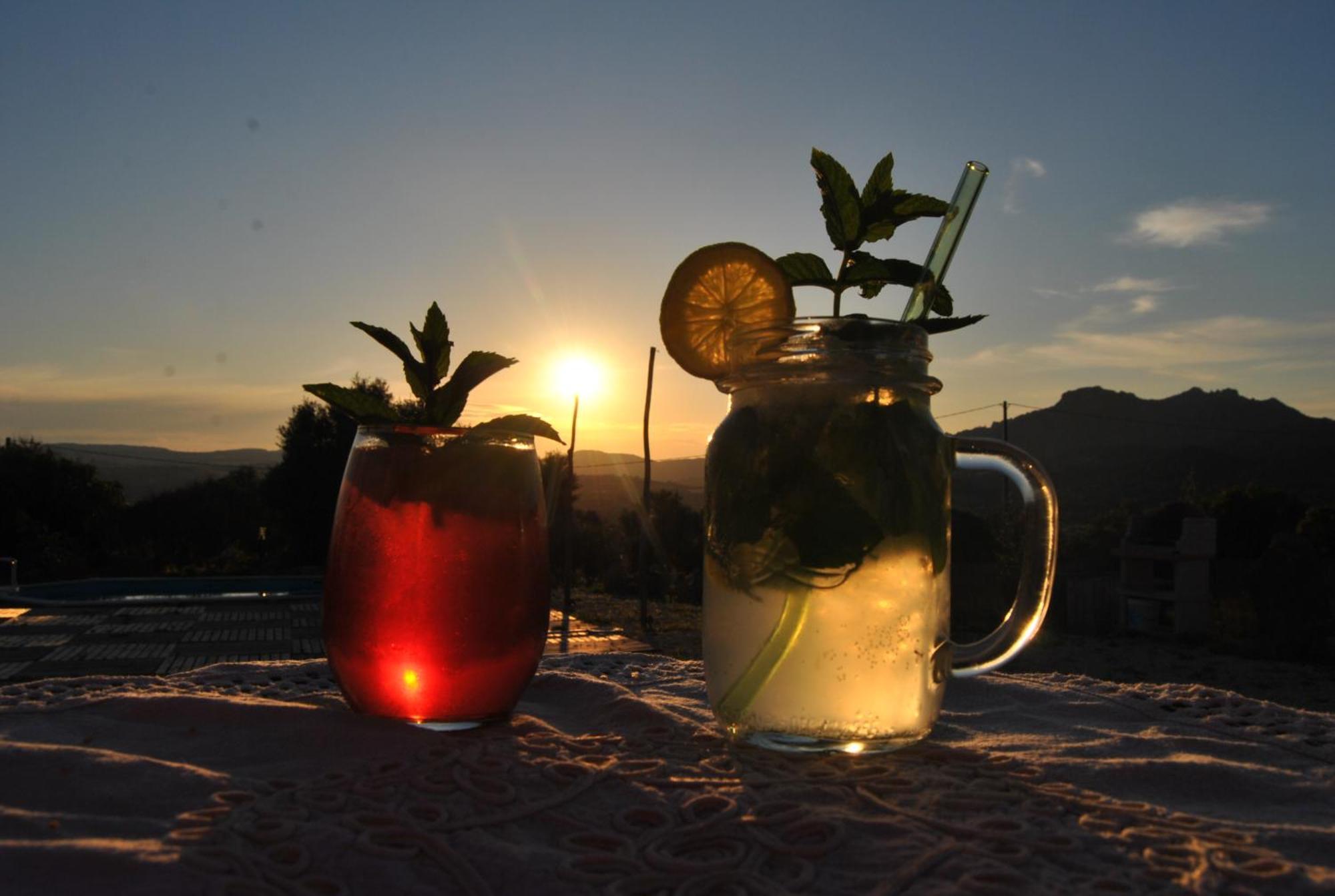 Hotel Pasare Glamping_Anglonaruralexperience Perfugas Exterior foto